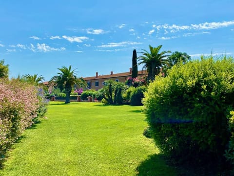 Spring, Day, Natural landscape, Garden, Garden view