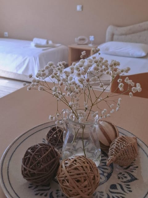 Mali Medved Ulcinj Apartment in Ulcinj Municipality