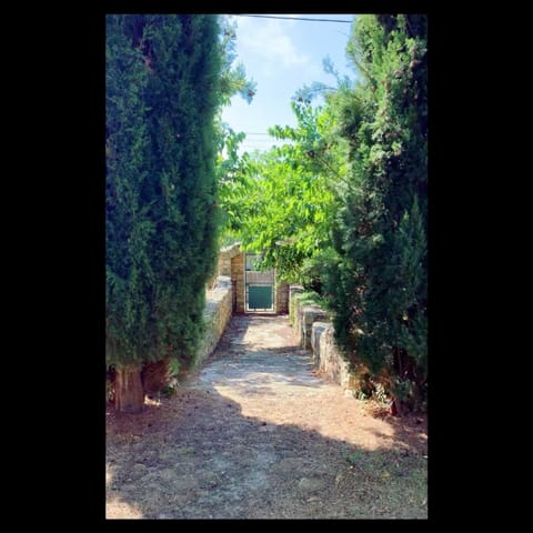 Facade/entrance, Garden