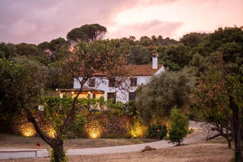 Property building, Natural landscape, Garden view