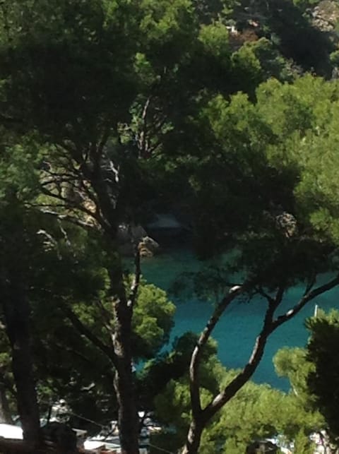 Natural landscape