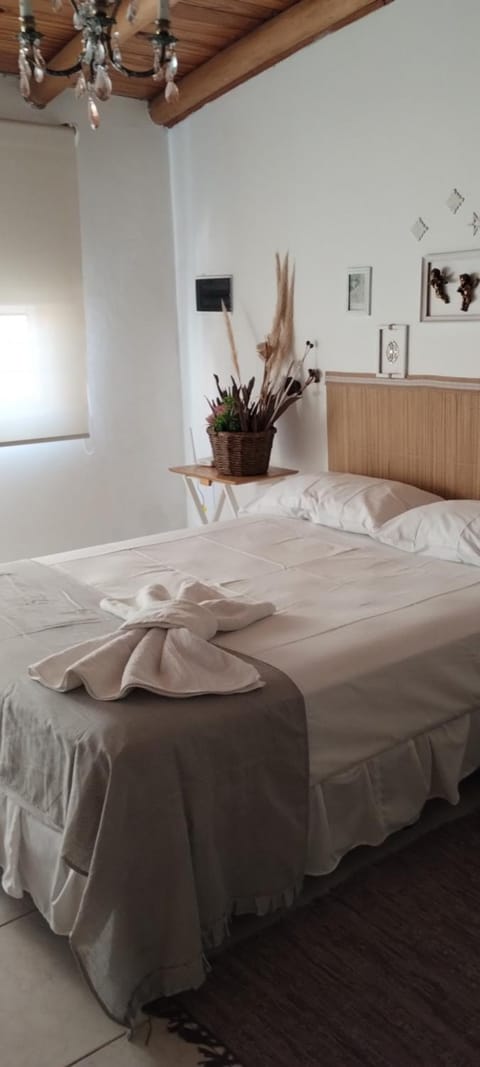 Bed, Photo of the whole room, towels