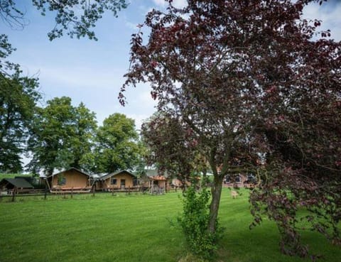 Buiten aan de Baak Campground/ 
RV Resort in North Brabant (province)