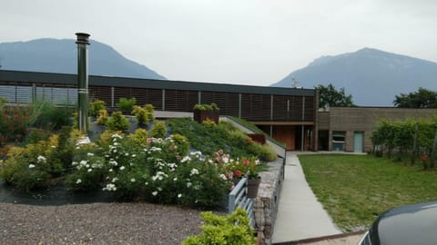 Property building, Spring, Day, Natural landscape, Garden, Garden view, Mountain view, Parking