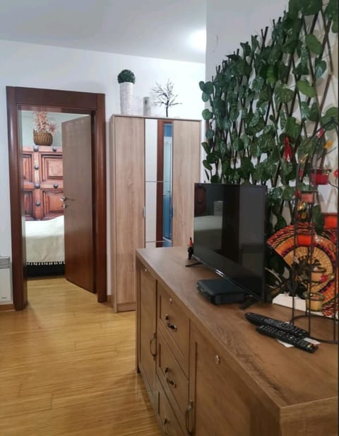 San Apartment in Serbia