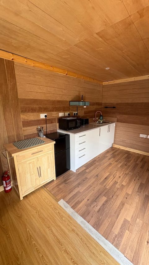 Bryn Bettws Lodge Nature lodge in Wales