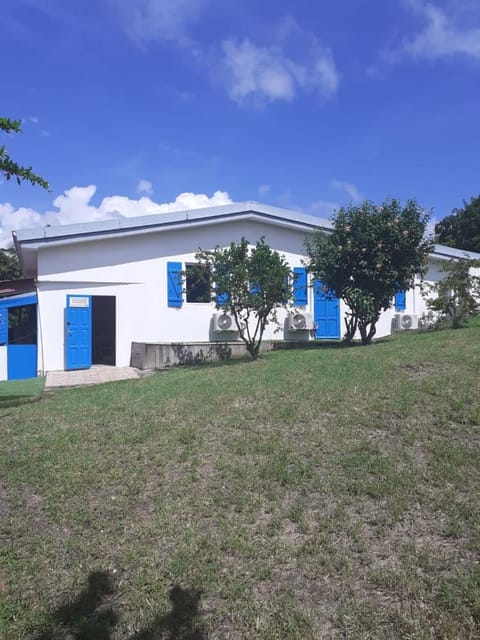 Property building, Day, Garden, Garden view