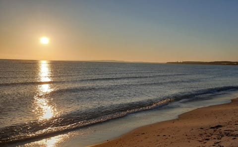 Der kleine Fuchshof mit Hund, Pferd und Huhn Apartment in Ostholstein