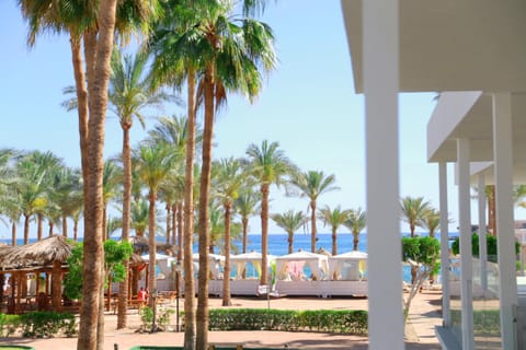 Spring, Day, View (from property/room), Balcony/Terrace, Beach, Garden view, Sea view