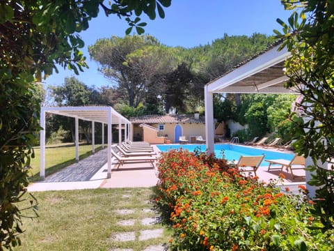 Swimming pool, sunbed