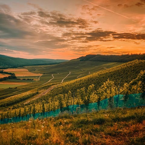 Ferienwohnung Moselmomente Apartment in Bernkastel-Kues
