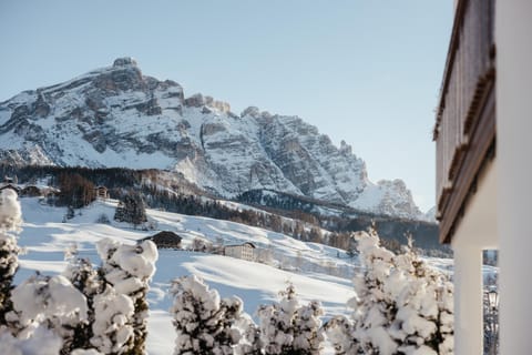 Ciasa Willy App Sas La Crusc Apartment in La Villa