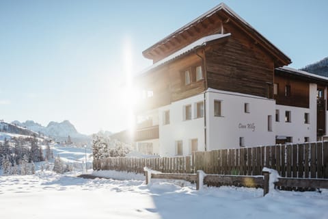 Ciasa Willy App Conturines Apartment in La Villa