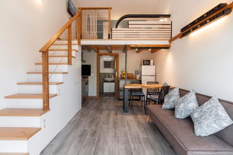 Kitchen or kitchenette, Living room, Seating area, Dining area, minibar, oven, pet friendly, air conditioner