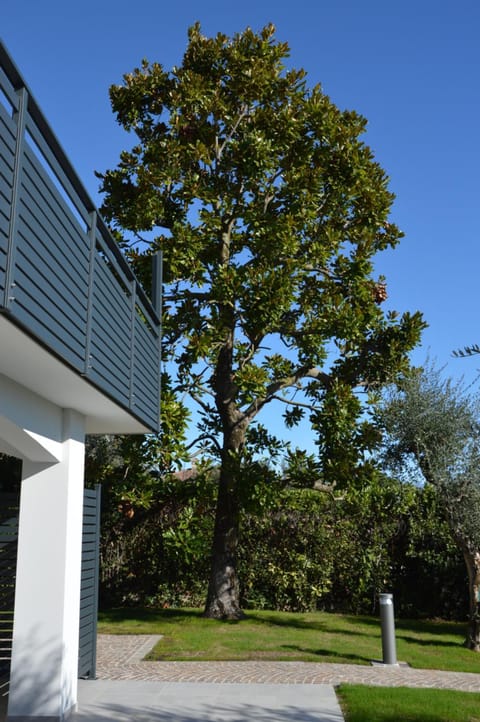 B&B Fior di Magnolia Bed and Breakfast in Lake Garda