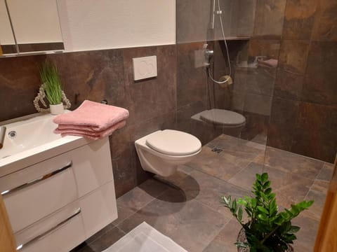 Shower, Toilet, towels