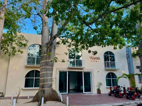 Property view
