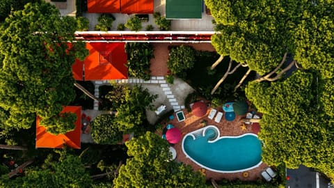 Bird's eye view