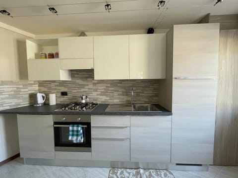Kitchen or kitchenette, dishwasher, minibar, oven, pet friendly, stove