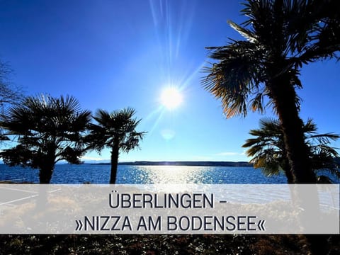 Natural landscape, Street view