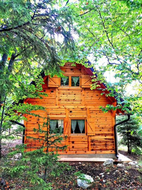 Brvnara Planinski raj House in Zlatibor District, Serbia