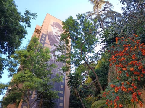 Property view