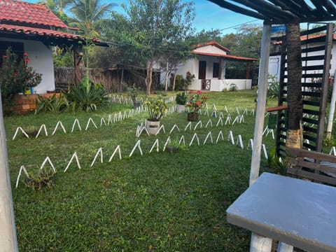 Garden, Garden view, Garden view