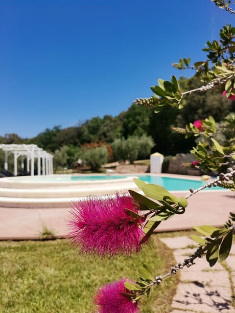 Day, Natural landscape, Garden, Garden view, Pool view, Swimming pool, sunbed