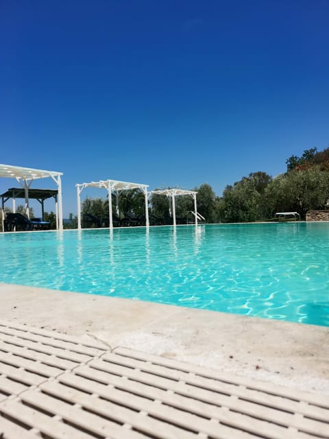 Swimming pool, sunbed