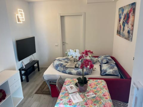 Franz home Wi-Fi AC 1 free parking Apartment in Bolzano