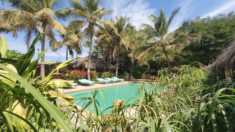 Garden, Pool view, sunbed