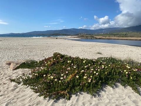 Strada di a cuma Apartment in Corsica