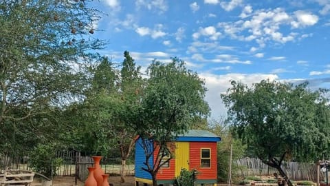 The Joint Backpackers Hostel in Western Cape