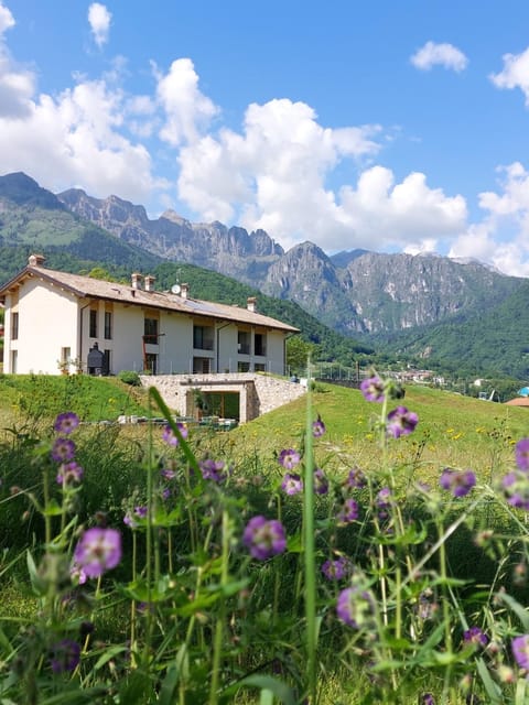 Property building, Spring, Natural landscape, Garden view, Mountain view