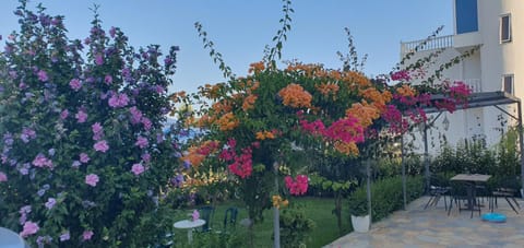 Blue Season Apartment in Ksamil