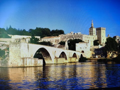 Studio 24m2 intra-muros Apartment in Avignon