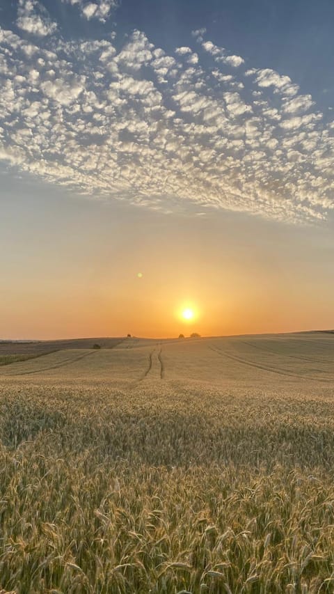 Natural landscape, Sunset