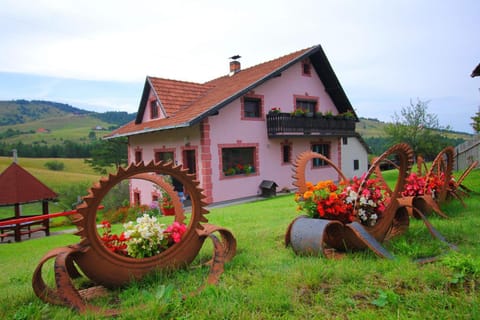 Domaćinstvo Spasenić Apartment in Zlatibor