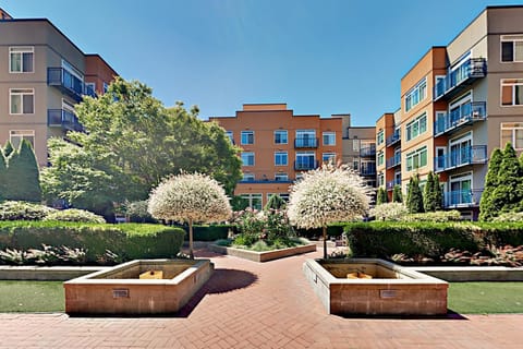 Belltown Condo Unit 733 Apartment in Belltown
