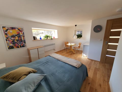 Bed, Living room, Photo of the whole room, Seating area, Bedroom