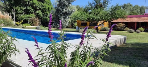 Day, Garden view, Pool view, Swimming pool
