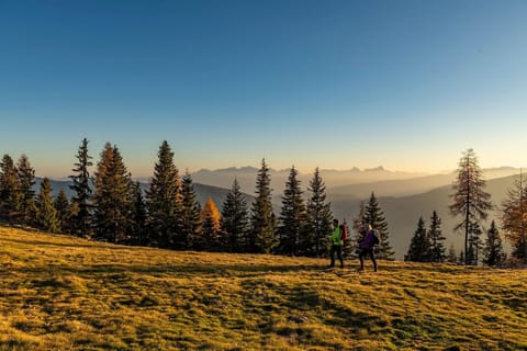 Day, Natural landscape, Mountain view, Sunrise