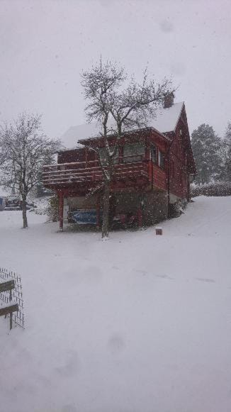 Property building, Winter