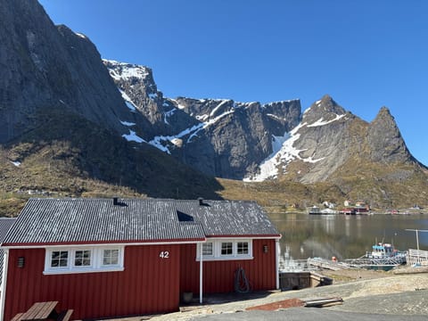 Reinebua Bed and Breakfast in Lofoten