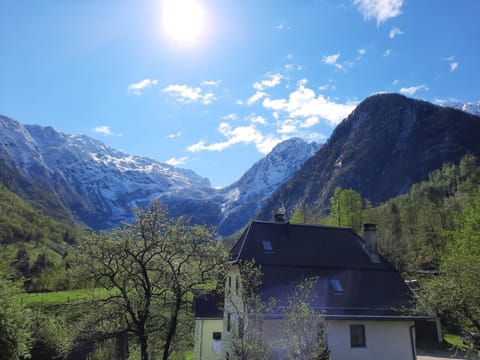 Natural landscape, Garden, Mountain view