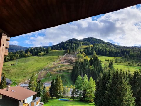 Appartements MAGLOV Apartment in Carinthia, Austria