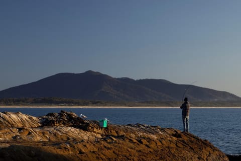Natural landscape, Fishing, Beach