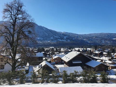 Winter, Mountain view