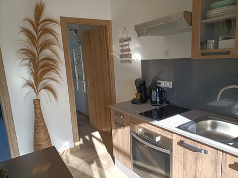 Communal kitchen, kitchen