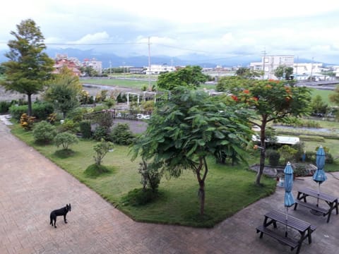Property view